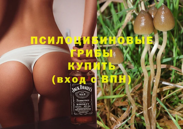 прущие грибы Богданович