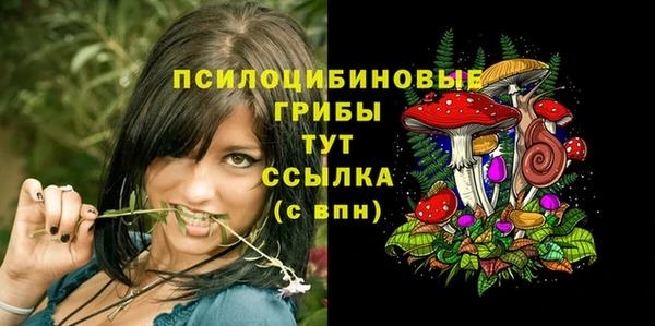 дживик Аркадак
